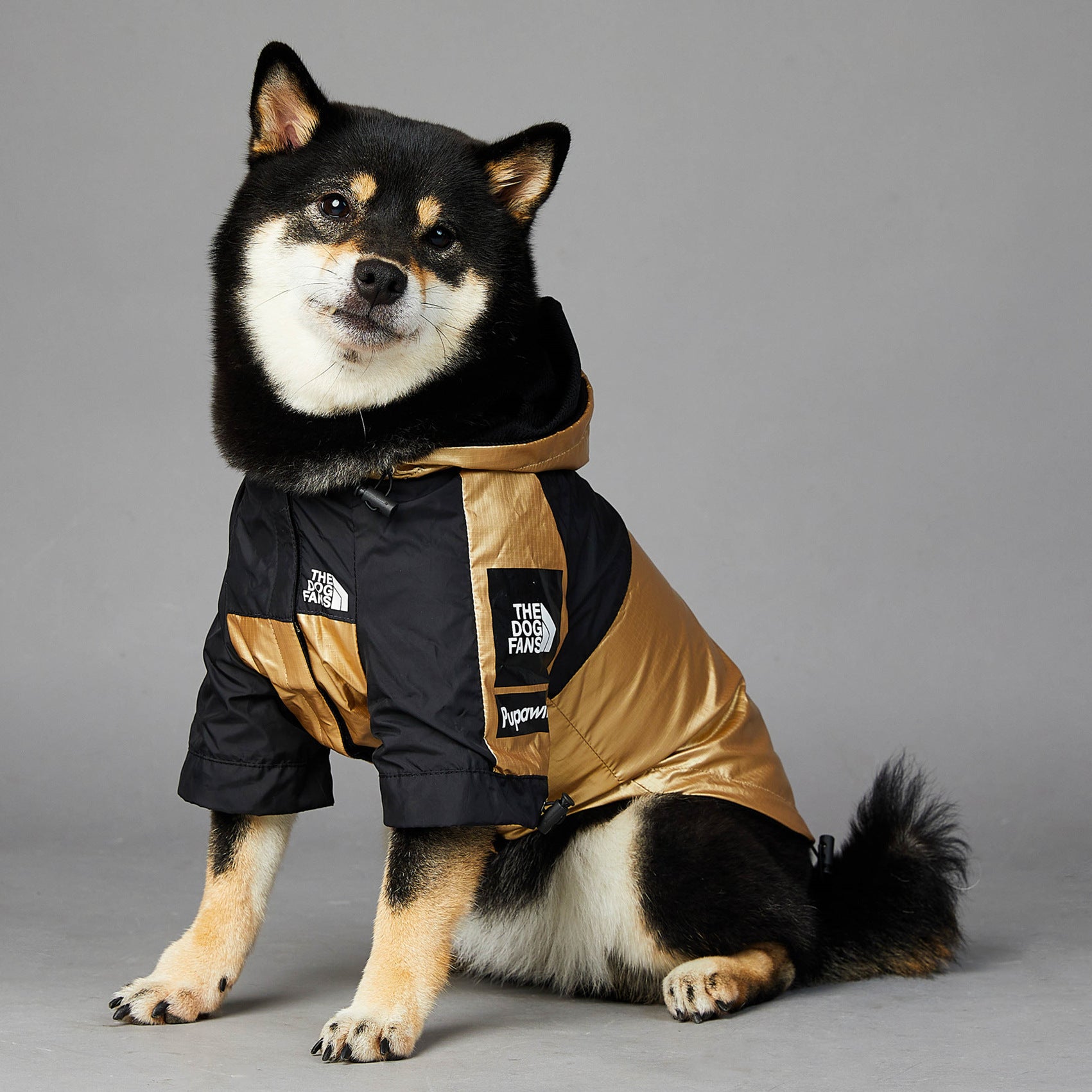 The north face orders pet