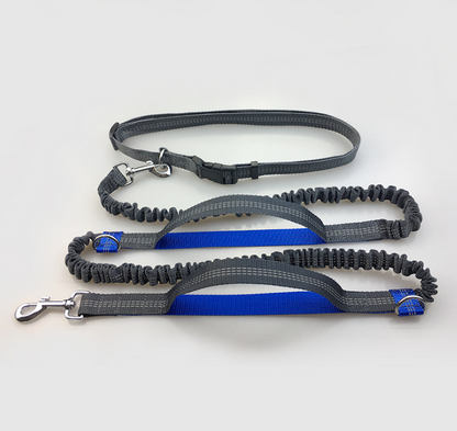 Multi-Function Reflective Double Elastic Dog Leash