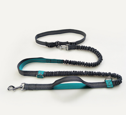 Multi-Function Reflective Double Elastic Dog Leash