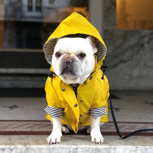 Dog Rain Jacket - Waterproof Pet Clothes for Rainy Walks