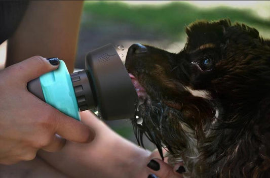 Foldable Dog Travel Water Bottle: silicone design