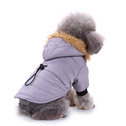 Winter Pet Jacket - Stylish and Warm Clothing for Your Furry Friend