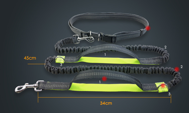 Multi-Function Reflective Double Elastic Dog Leash