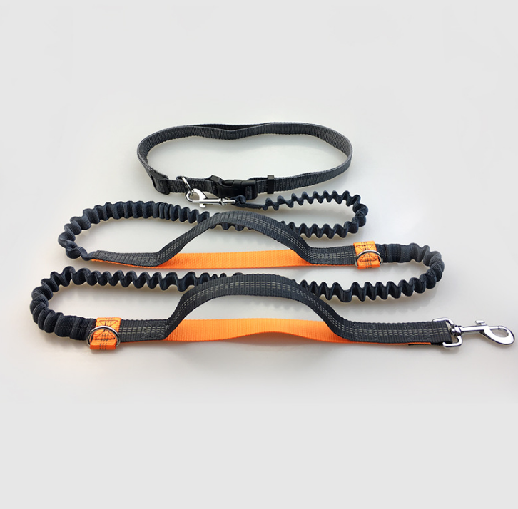 Multi-Function Reflective Double Elastic Dog Leash