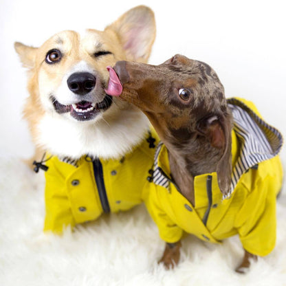 Dog Rain Jacket - Waterproof Pet Clothes for Rainy Walks