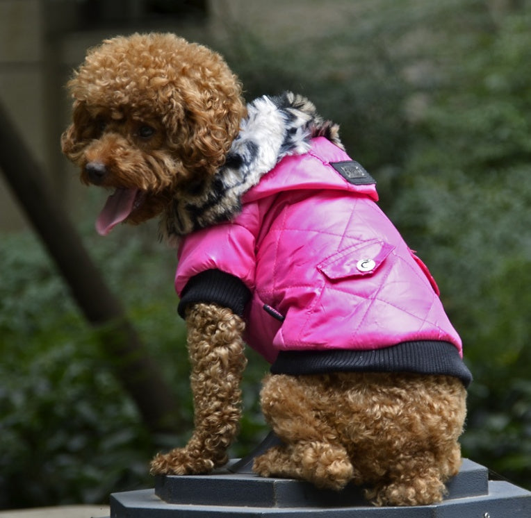 Warm Winter Hooded Jacket Snowsuit for Small Dogs - Cozy Pet Puppy Coat