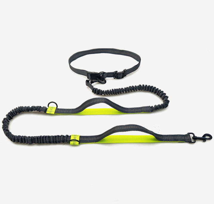 Multi-Function Reflective Double Elastic Dog Leash