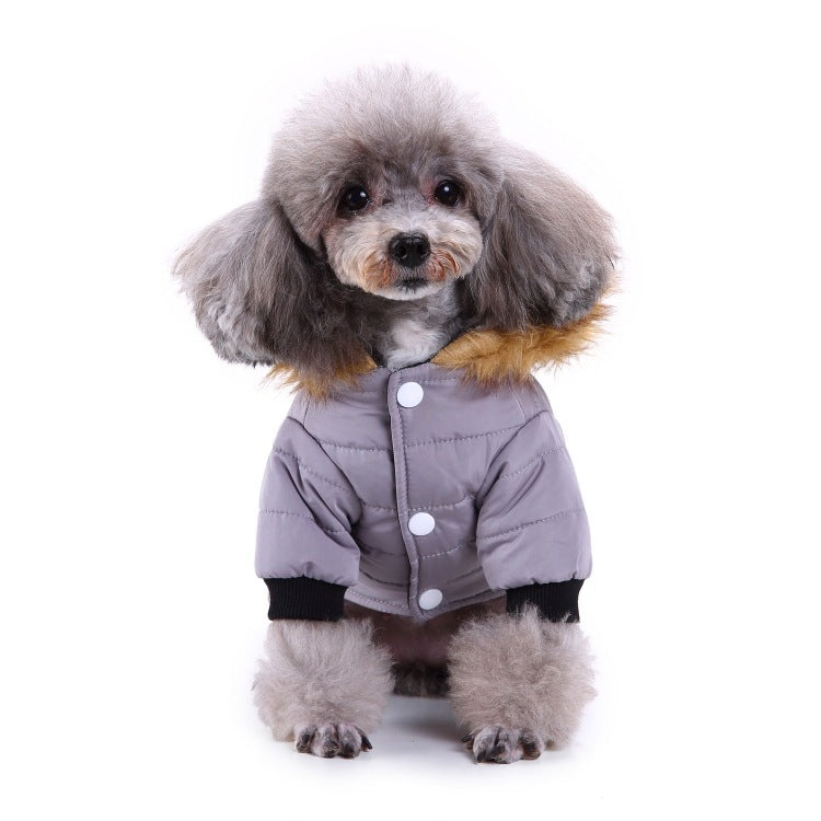 Winter Pet Jacket - Stylish and Warm Clothing for Your Furry Friend