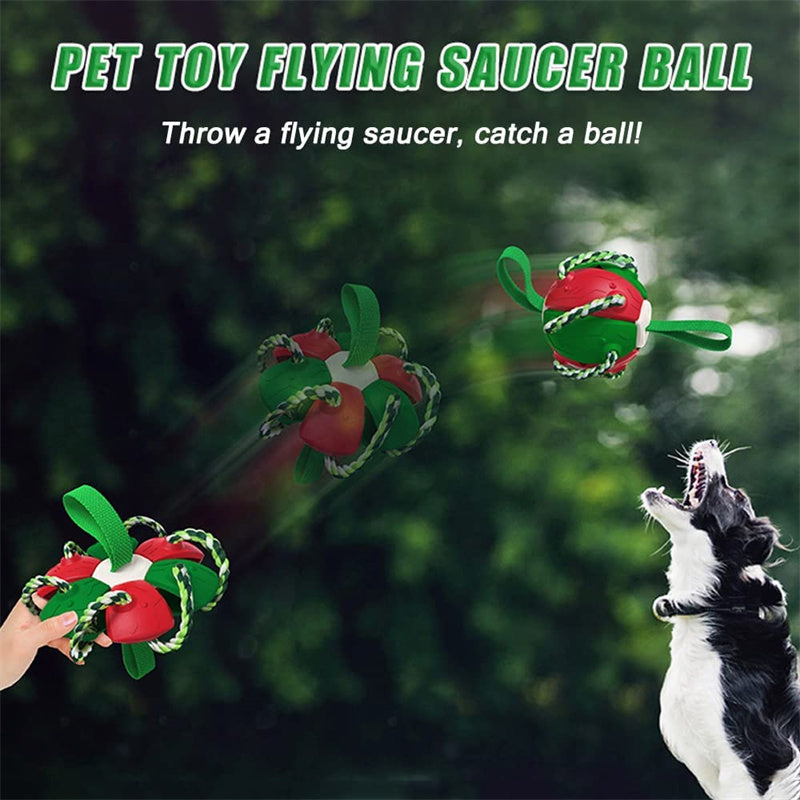 Interactive Frisbee Dog Ball with Tabs: for Energetic Pups