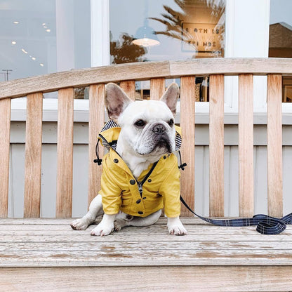 Dog Rain Jacket - Waterproof Pet Clothes for Rainy Walks