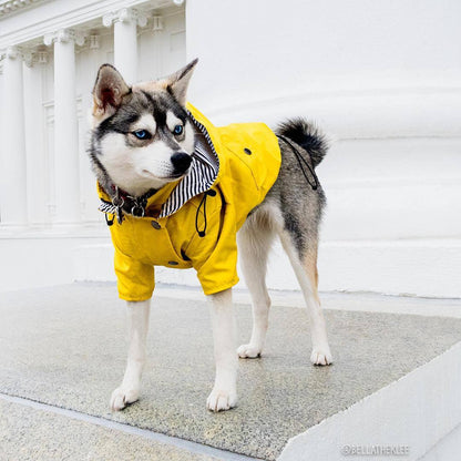 Dog Rain Jacket - Waterproof Pet Clothes for Rainy Walks