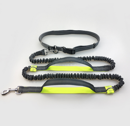 Multi-Function Reflective Double Elastic Dog Leash