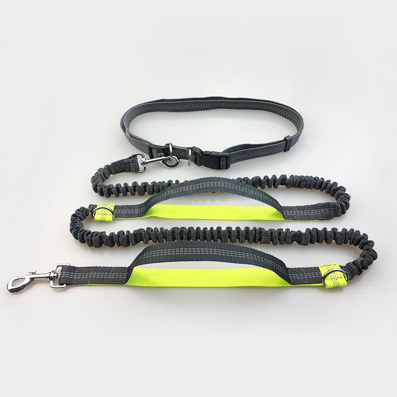 Multi-Function Reflective Double Elastic Dog Leash