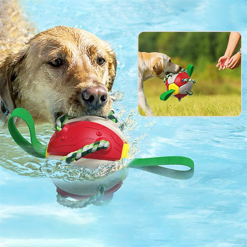 Interactive Frisbee Dog Ball with Tabs: for Energetic Pups