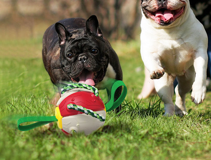 Interactive Frisbee Dog Ball with Tabs: for Energetic Pups